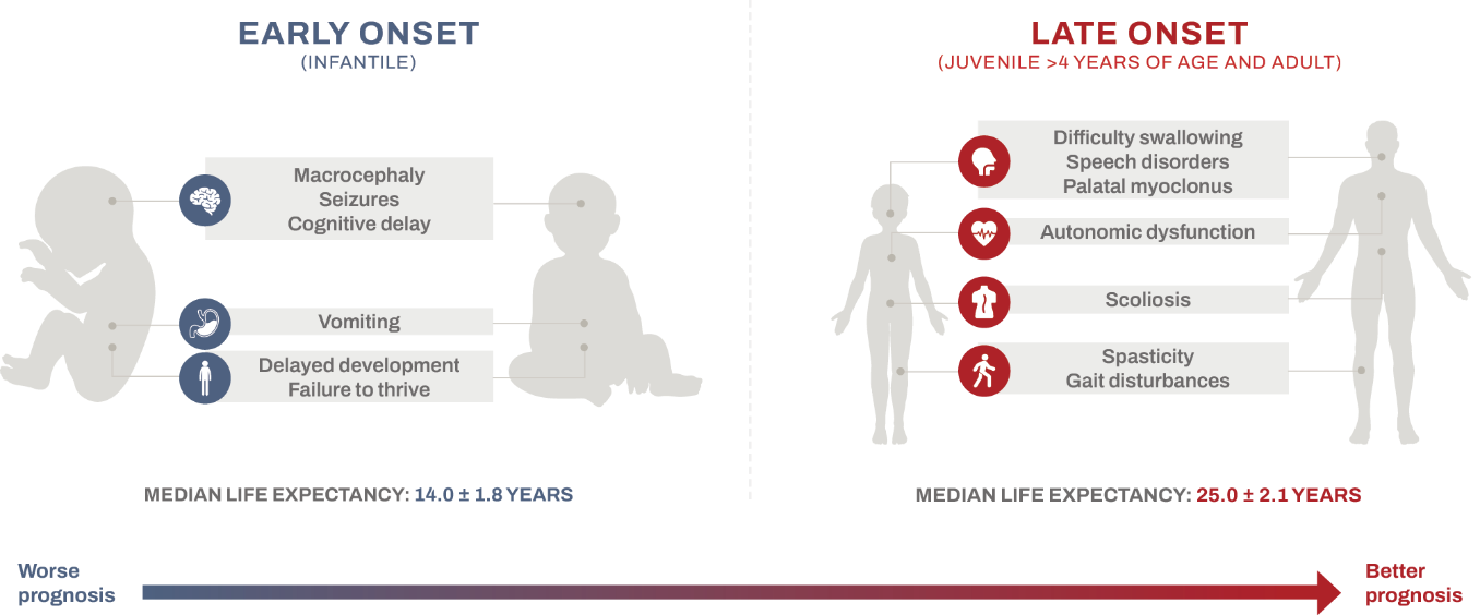 Chart depicting Alexander disease symptoms with early onset on the left and late onset on the right.