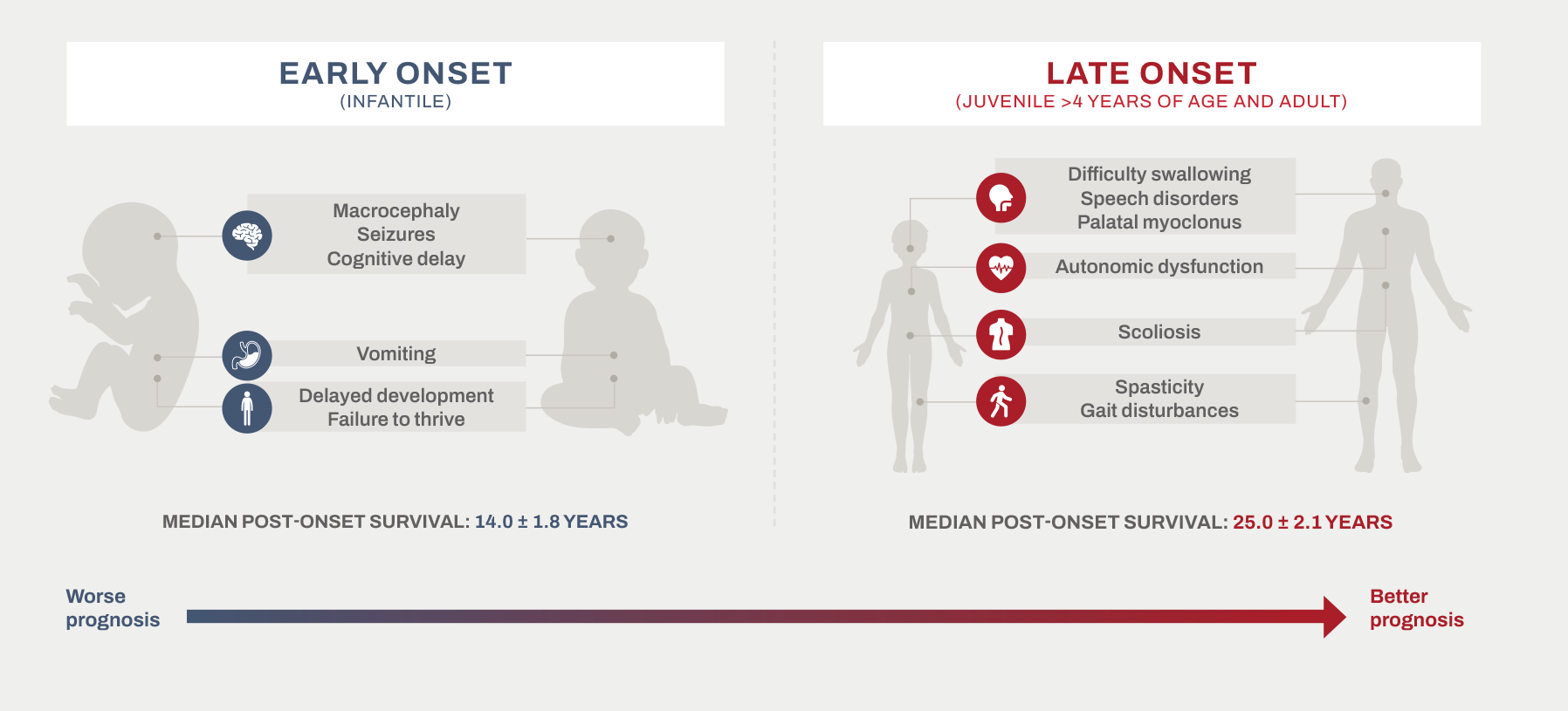 Chart depicting Alexander disease symptoms with early onset on the left and late onset on the right.